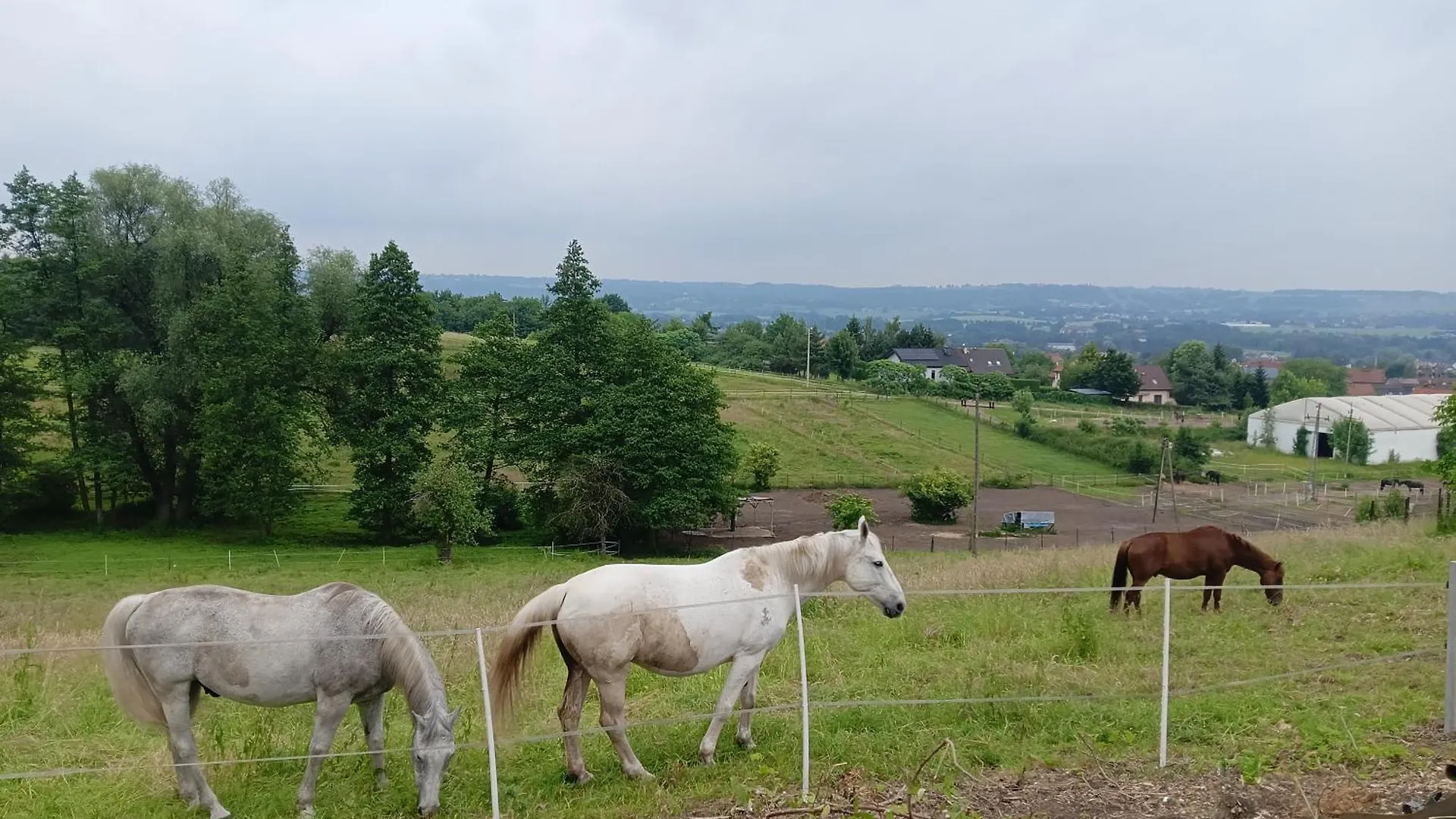 Hotel Glamping Pogorzany - Jurty Zabierzow 0*,